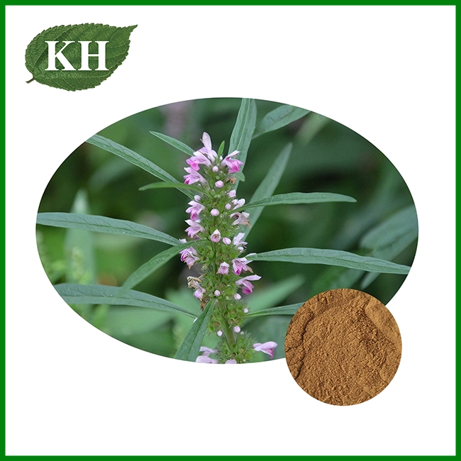 Motherwort Extract